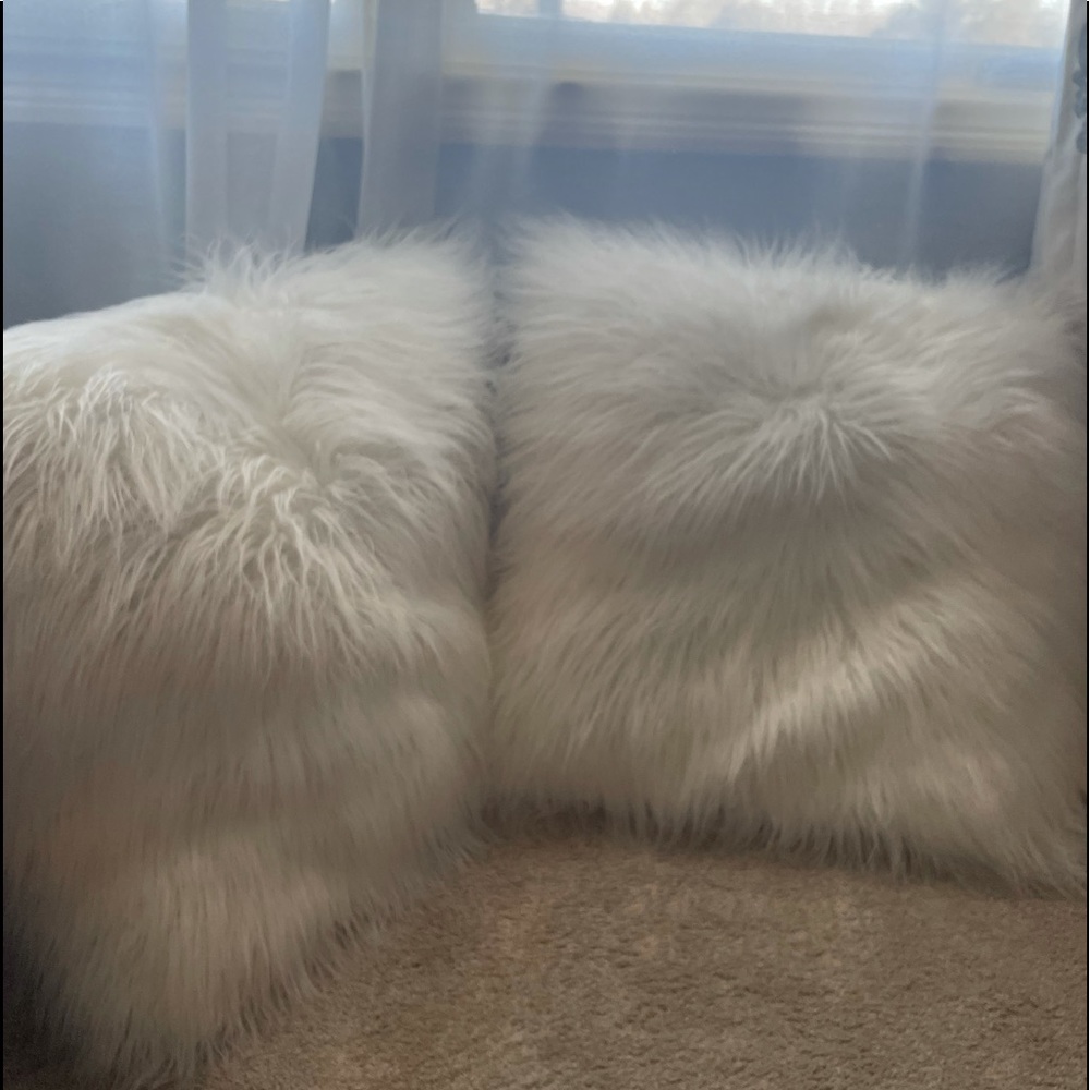 Euro white fully pillows